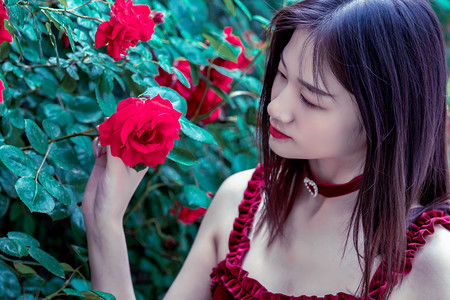 今年前6个月斗门海关监管供港澳冰鲜禽产品超8000吨